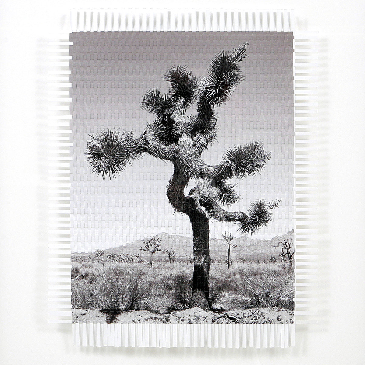 Woven Photography Art by Fernando Bengoechea | Handwoven Photographs
– The Studio at Fernando Bengoechea