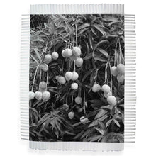 Load image into Gallery viewer, MANGO SAUCE - HAND WOVEN PHOTOGRAPH