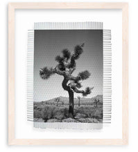 Load image into Gallery viewer, BLEACHED MAPLE GALLERY FRAME