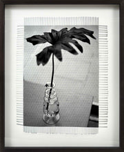Load image into Gallery viewer, FLY ON VASE - HAND WOVEN PHOTOGRAPH