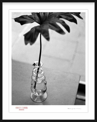 FLY ON VASE - Giclee Print - Stamped and Signed