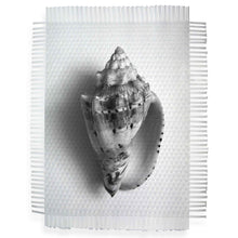 Load image into Gallery viewer, HEAR THE OCEAN - HAND WOVEN PHOTOGRAPH