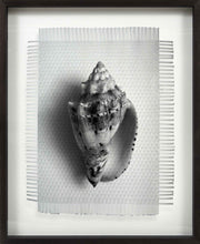 Load image into Gallery viewer, HEAR THE OCEAN - HAND WOVEN PHOTOGRAPH
