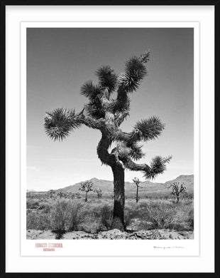 KARMA TREE # 1 - Giclee Print - Stamped and Signed