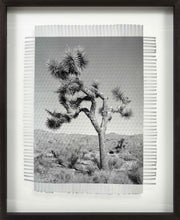 Load image into Gallery viewer, KARMA TREE # 4 - HAND WOVEN PHOTOGRAPH