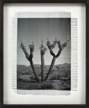 Load image into Gallery viewer, KARMA TREE # 5 - HAND WOVEN PHOTOGRAPH