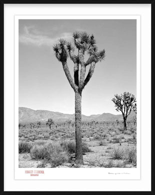 KARMA TREE # 6 - Giclee Print - Stamped and Signed