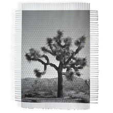 Load image into Gallery viewer, KARMA TREE # 7 - HAND WOVEN PHOTOGRAPH