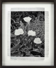 Load image into Gallery viewer, LILIES - HAND WOVEN PHOTOGRAPH