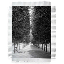 Load image into Gallery viewer, LINED TREES - HAND WOVEN PHOTOGRAPH