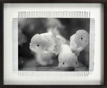 Load image into Gallery viewer, I AM SPECIAL - HAND WOVEN PHOTOGRAPH