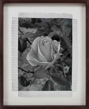 Load image into Gallery viewer, ROSA - HAND WOVEN PHOTOGRAPH
