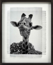 Load image into Gallery viewer, SMILE OF A GIRAFFE - HAND WOVEN PHOTOGRAPH