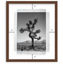 Load image into Gallery viewer, WALNUT GALLERY FRAME
