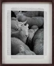 Load image into Gallery viewer, WOOL - HAND WOVEN PHOTOGRAPH