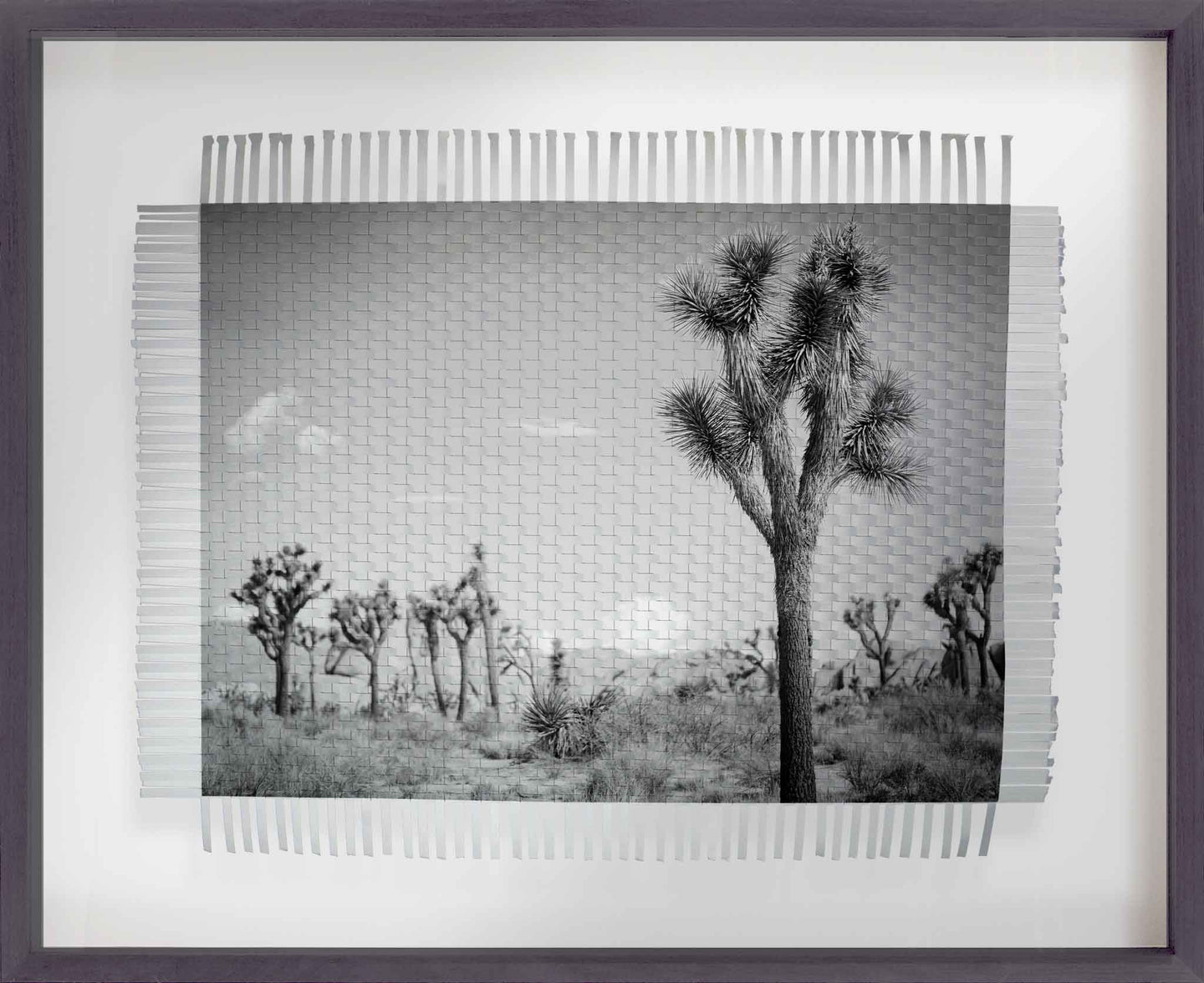 KARMA TREE LANDSCAPE - HAND WOVEN PHOTOGRAPH