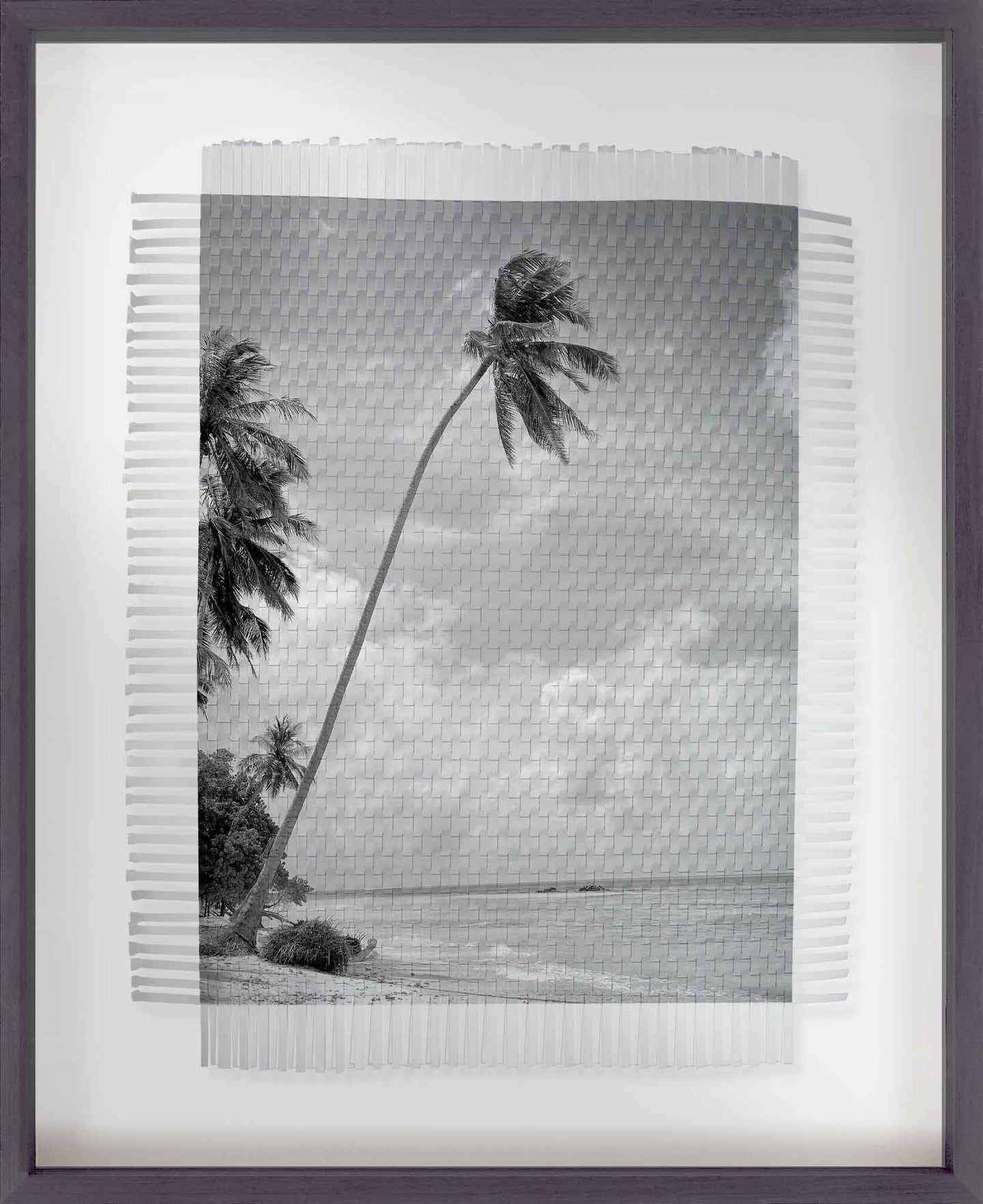 PALMS # 2 - HAND WOVEN PHOTOGRAPH