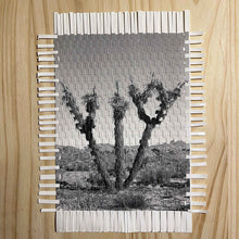 Load image into Gallery viewer, KARMA TREE # 5 WOVEN PHOTOGRAPH 8 X 10 - AVAILABLE NOW