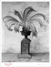 Load image into Gallery viewer, PALM IN VASE - Giclee Print - Stamped and Signed