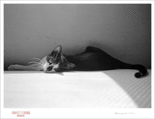 Load image into Gallery viewer, CAT NAP - Giclee Print - Stamped and Signed