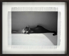 Load image into Gallery viewer, CAT NAP - HAND WOVEN PHOTOGRAPH