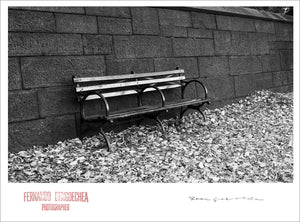 FRENCH BENCH - Giclee Print - Stamped and Signed