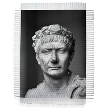 Load image into Gallery viewer, BUST # 3 / TRAJAN - HAND WOVEN PHOTOGRAPH