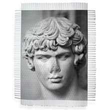 Load image into Gallery viewer, BUST # 5 - ANTINOUS - HAND WOVEN PHOTOGRAPH