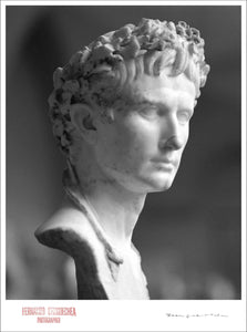 BUST # 12 / AUGUSTUS - Giclee Print - Stamped and Signed