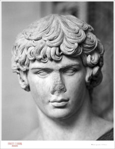 BUST # 5 / ANTINOUS - Giclee Print - Stamped and Signed