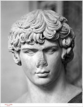 Load image into Gallery viewer, BUST # 5 / ANTINOUS - Giclee Print - Stamped and Signed