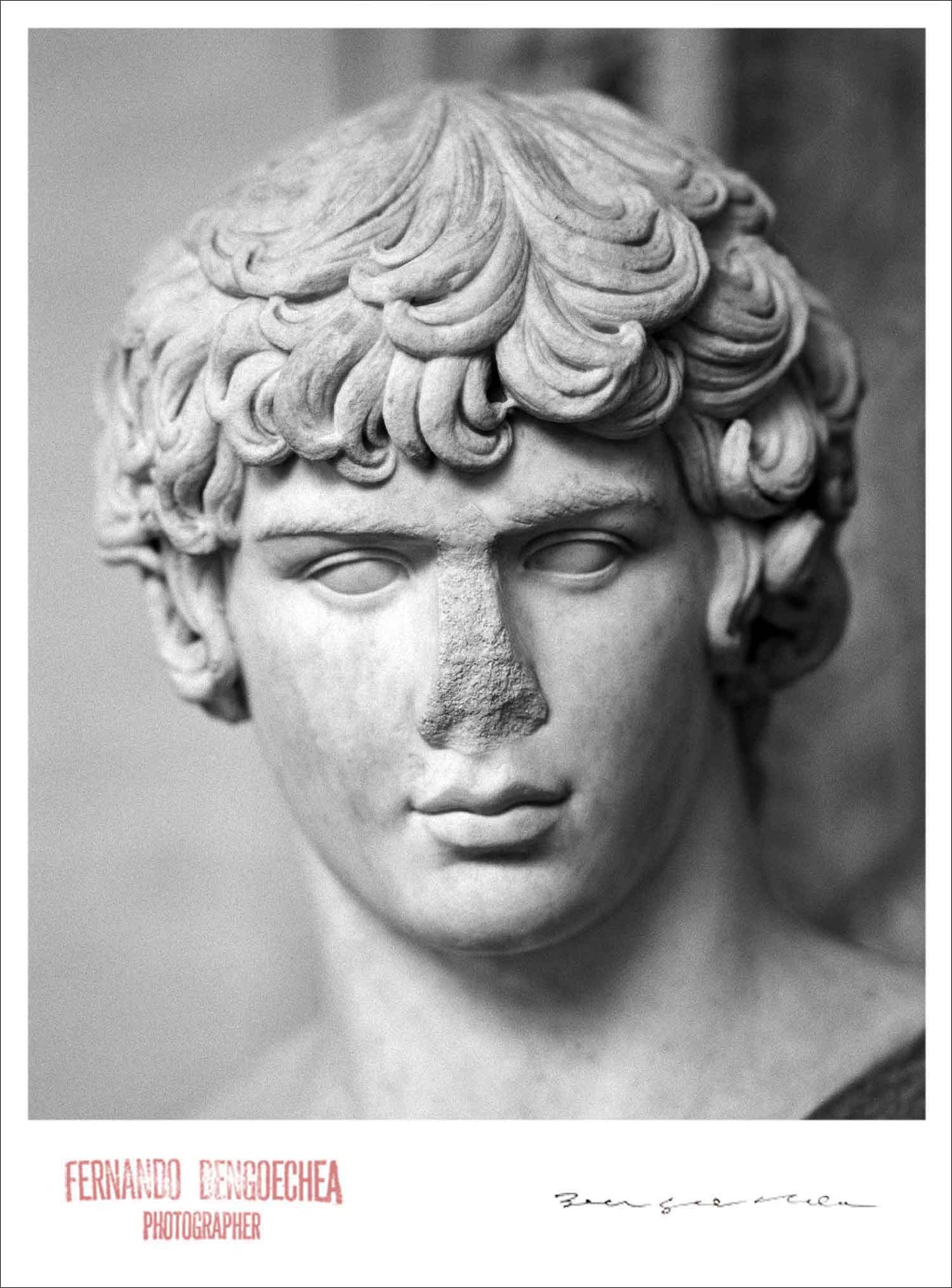 BUST # 5 / ANTINOUS - Giclee Print - Stamped and Signed