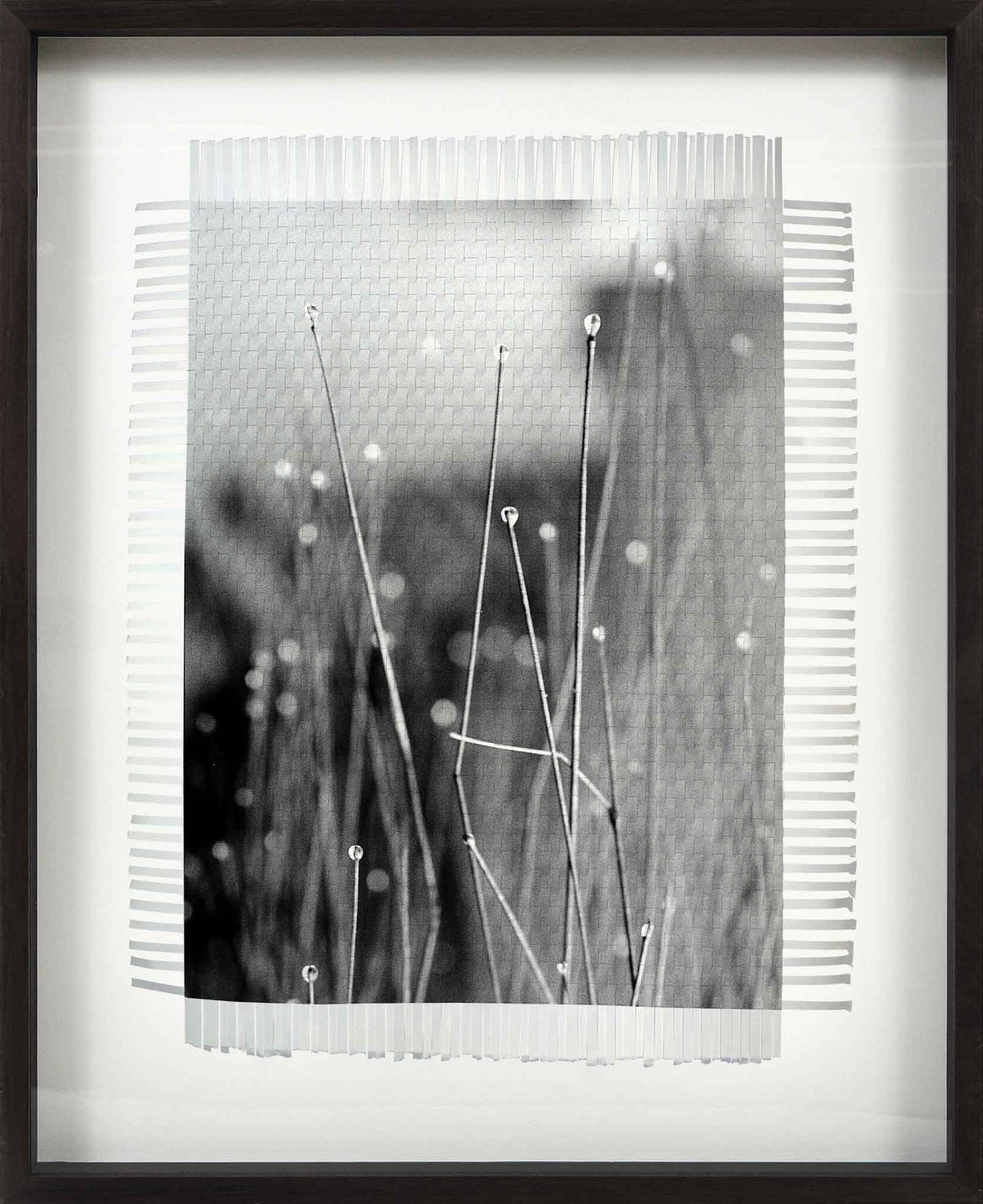 MORNING DEW - HAND WOVEN PHOTOGRAPH