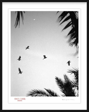 EVENING IN MEXICO - Giclee Print - Stamped and Signed