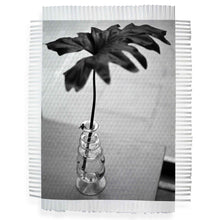 Load image into Gallery viewer, FLY ON VASE - HAND WOVEN PHOTOGRAPH