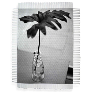 FLY ON VASE - HAND WOVEN PHOTOGRAPH