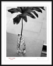 Load image into Gallery viewer, FLY ON VASE - Giclee Print - Stamped and Signed