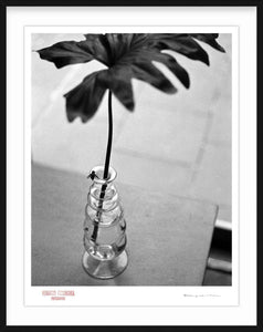 FLY ON VASE - Giclee Print - Stamped and Signed