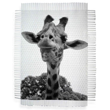Load image into Gallery viewer, SMILE OF A GIRAFFE - HAND WOVEN PHOTOGRAPH