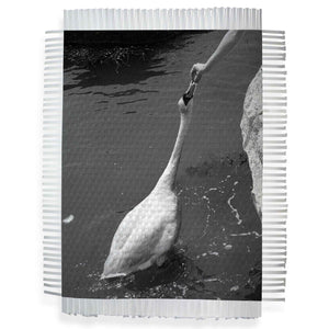 DO NOT FEED SWANS - HAND WOVEN PHOTOGRAPH