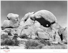 Load image into Gallery viewer, JOSHUA TREE ROCKS - Giclee Print - Stamped and Signed