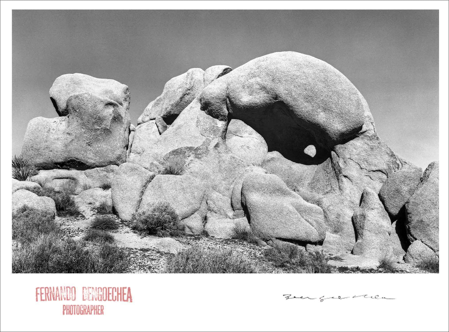 JOSHUA TREE ROCKS - Giclee Print - Stamped and Signed