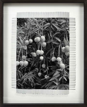 Load image into Gallery viewer, MANGO SAUCE - HAND WOVEN PHOTOGRAPH