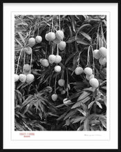 Load image into Gallery viewer, MANGO SAUCE - Giclee Print - Stamped and Signed