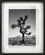Load image into Gallery viewer, KARMA TREE # 1 - HAND WOVEN PHOTOGRAPH
