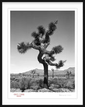 Load image into Gallery viewer, KARMA TREE # 1 - Giclee Print - Stamped and Signed