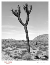 Load image into Gallery viewer, KARMA TREE # 2 - Giclee Print - Stamped and Signed
