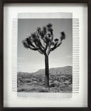 Load image into Gallery viewer, KARMA TREE # 3 - HAND WOVEN PHOTOGRAPH