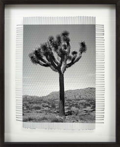 KARMA TREE # 3 - HAND WOVEN PHOTOGRAPH