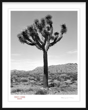 Load image into Gallery viewer, KARMA TREE # 3 - Giclee Print - Stamped and Signed